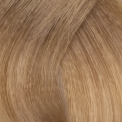 HellLichtblond Schokolade 10.99