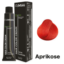 FemMas Hair Color Cream 100ml Haarfarbe Fantasy Aprikose
